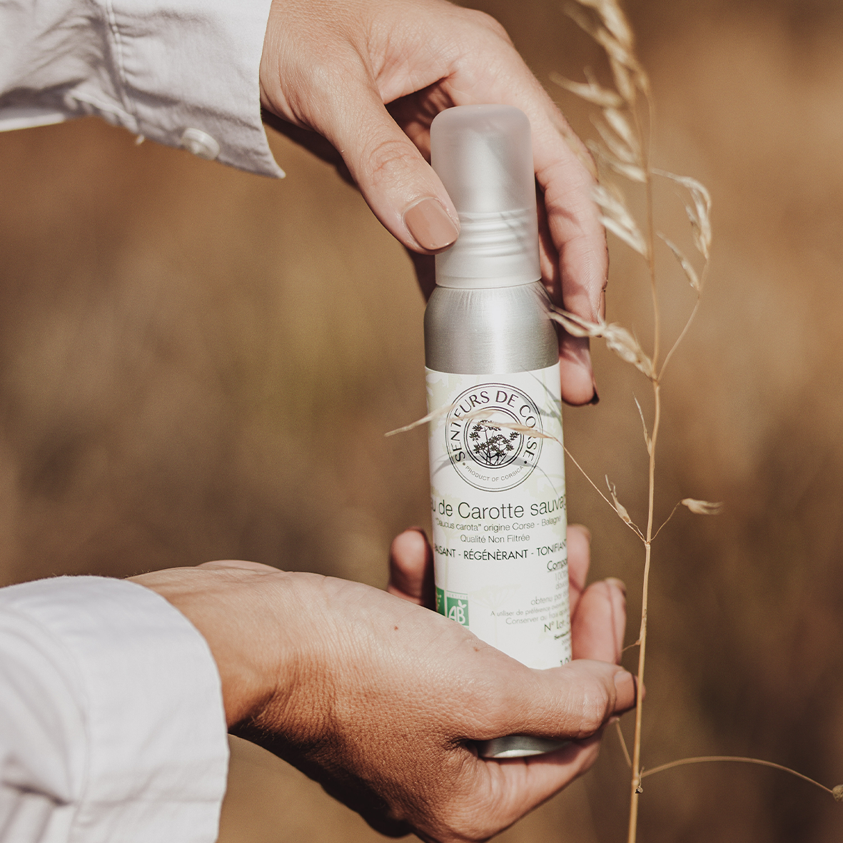 Eau de Carotte Sauvage