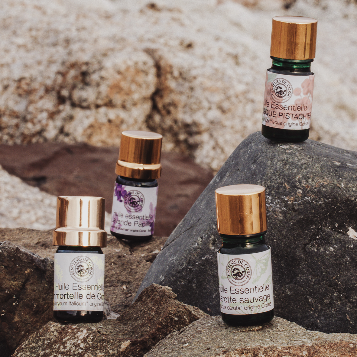 Huile essentielle d'Immortelle Corse