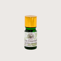 Huile essentielle de Carotte Sauvage