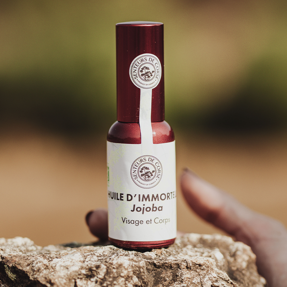 Huile d’Immortelle & Jojoba