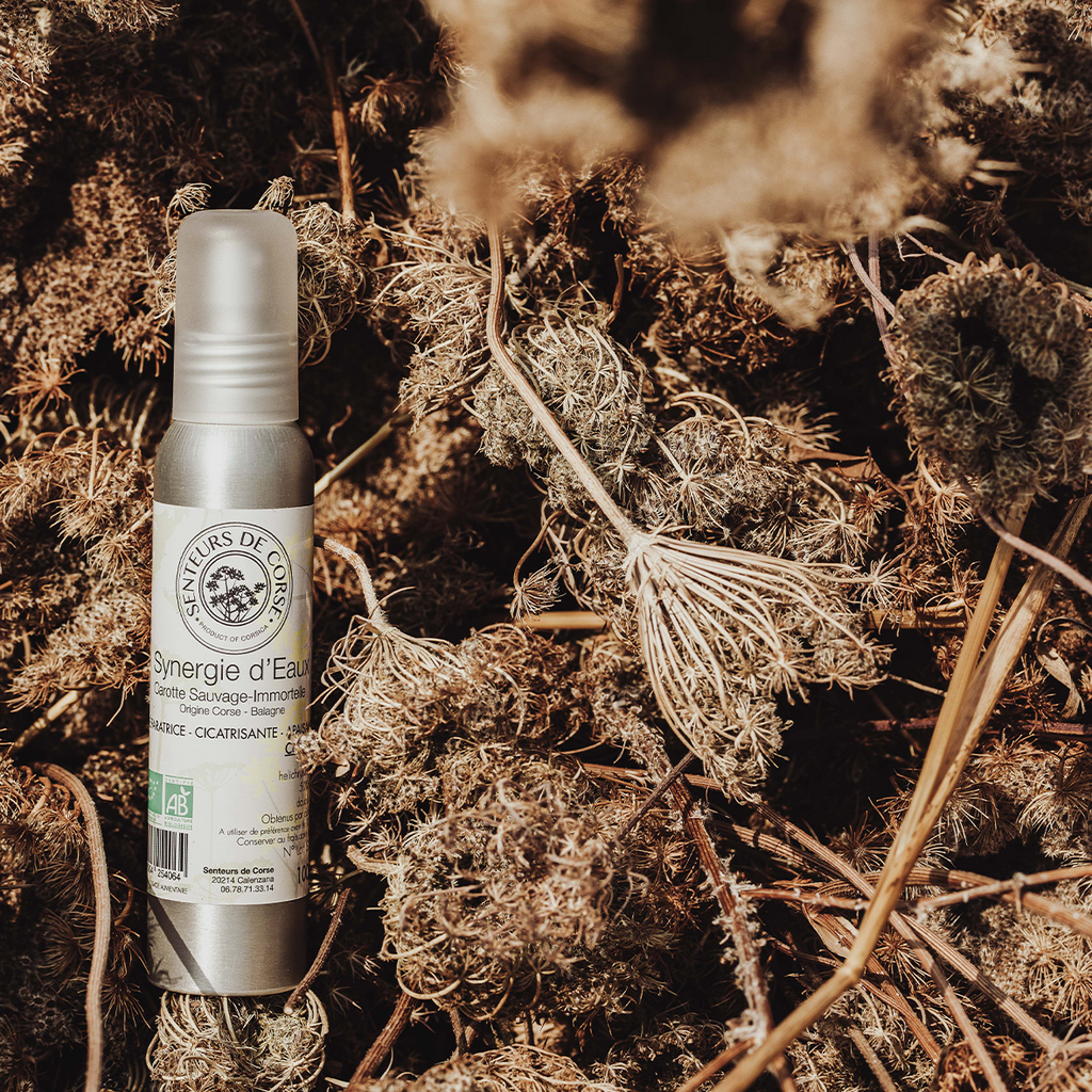 Synergie d'Eaux Immortelle & Carotte Sauvage
