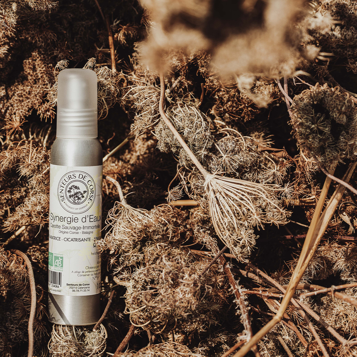 Synergie d'Eaux Immortelle & Carotte Sauvage